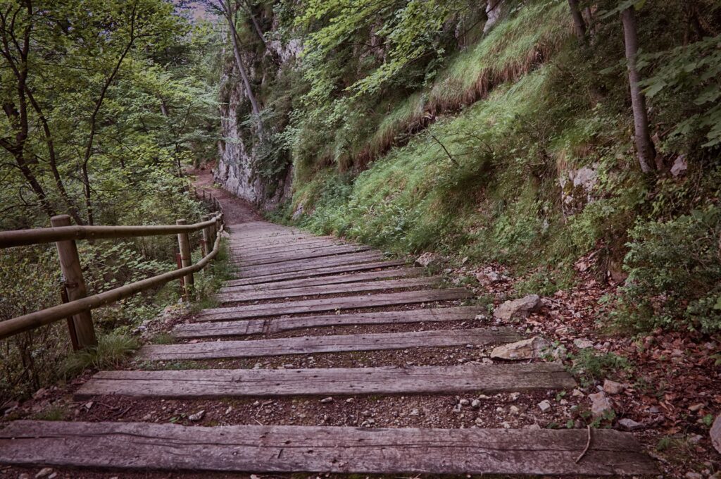 Walking Path